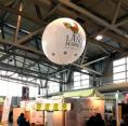 Helium trade show balloon